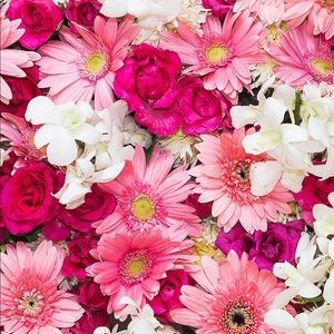 Meet your Posher, Felicia